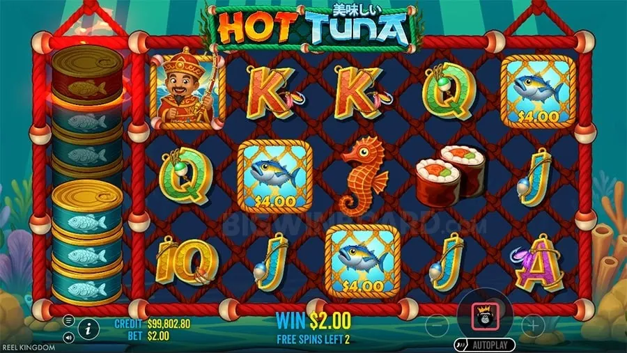 phjoy Understanding Roulette Odds